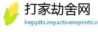 打家劫舍网